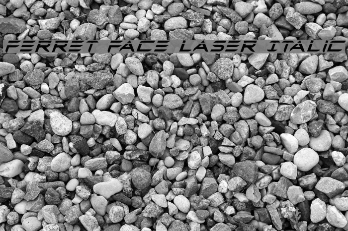 Ferret Face Laser Italic Example 1