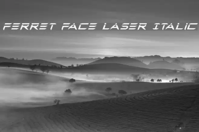 Ferret Face Laser Italic Font examples