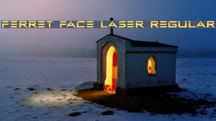 Ferret Face Laser Regular Font examples
