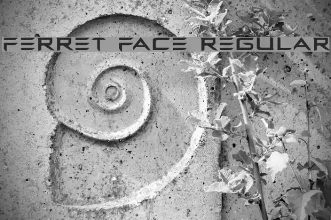 Ferret Face Regular Font examples