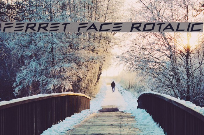 Ferret Face Rotalic Font examples