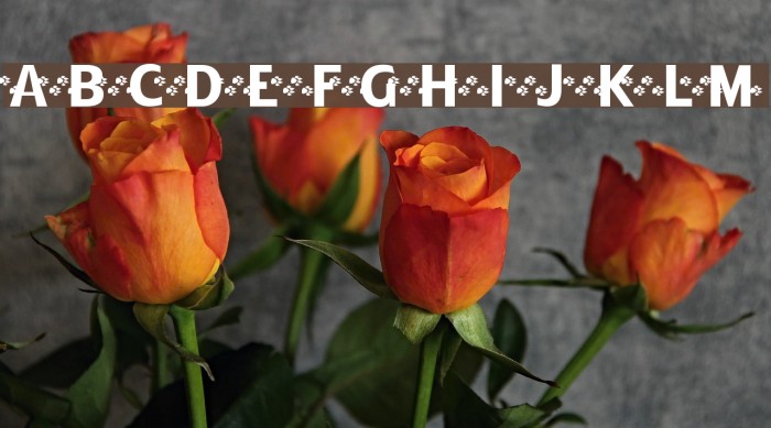 FerretFootPrints Font examples