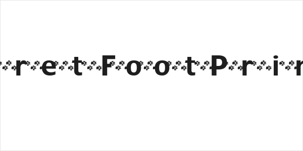 FerretFootPrints Logo