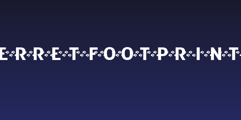 FerretFootPrints Social Header
