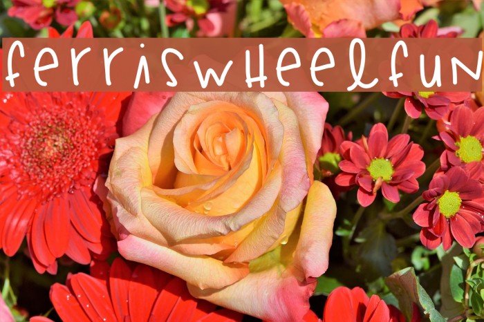 FerrisWheelFun Font examples