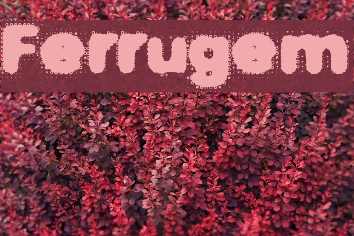 Ferrugem Font examples