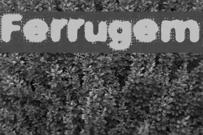 Ferrugem Caratteri examples