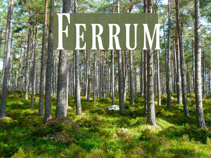 Ferrum Font examples