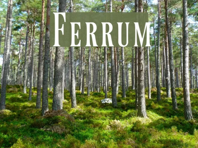 Ferrum Example 1