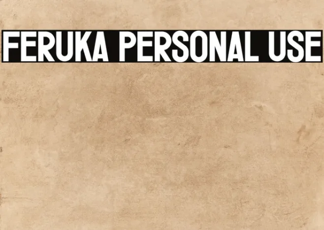 Feruka Personal Use Example 3