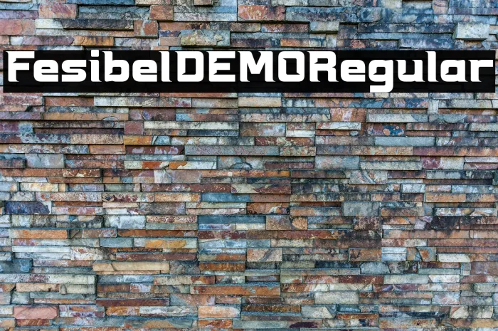 Fesibel DEMO Regular Example 1
