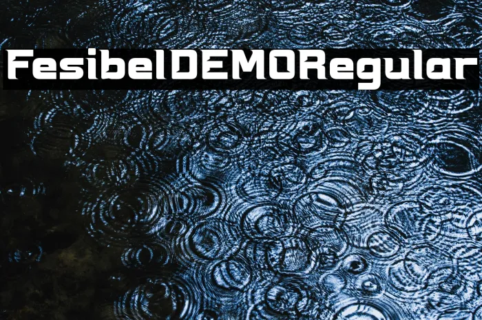 Fesibel DEMO Regular Example 2