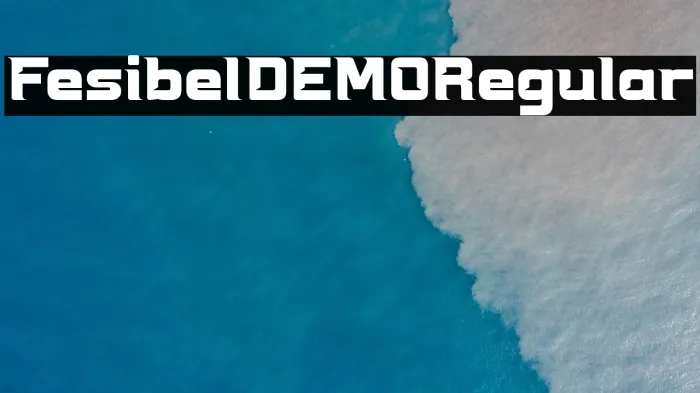 Fesibel DEMO Regular Example 3
