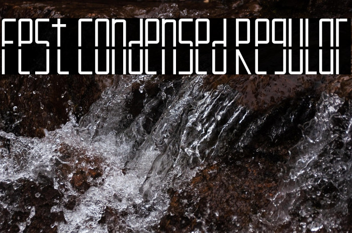 Fest Condensed Regular Example 2