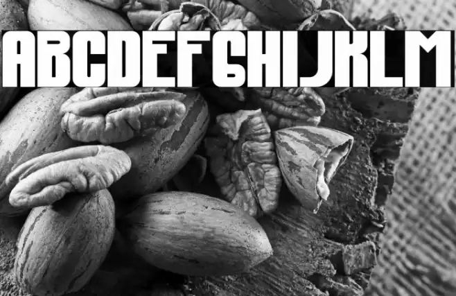 Fest235 Font examples