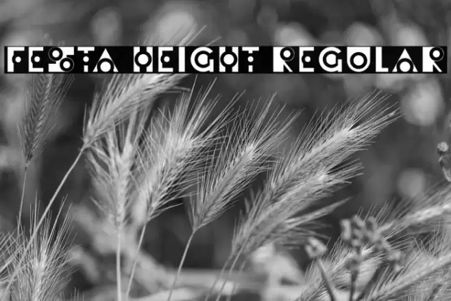 Festa Height Regular Font examples