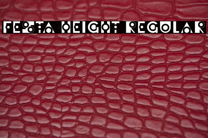 Festa Height Regular Example 2