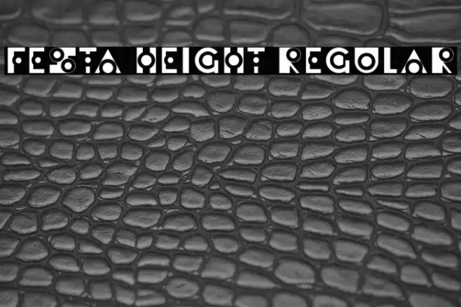 Festa Height Regular Font examples