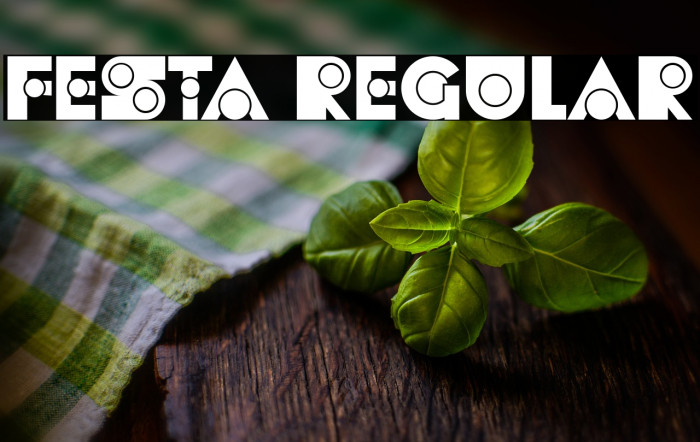 Festa Regular Example 1