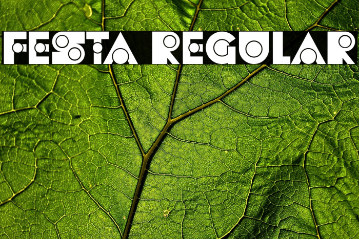 Festa Regular Example 2