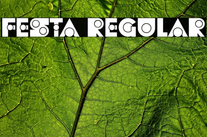 Festa Regular Example 2