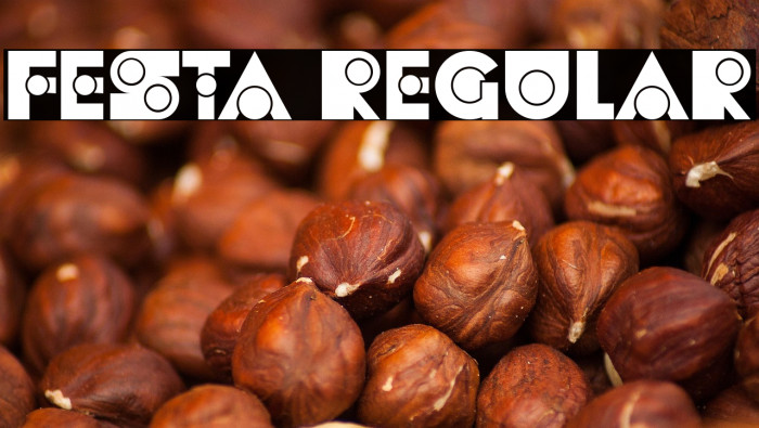 Festa Regular Example 3