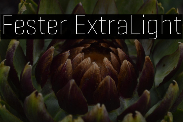 Fester ExtraLight Example 1