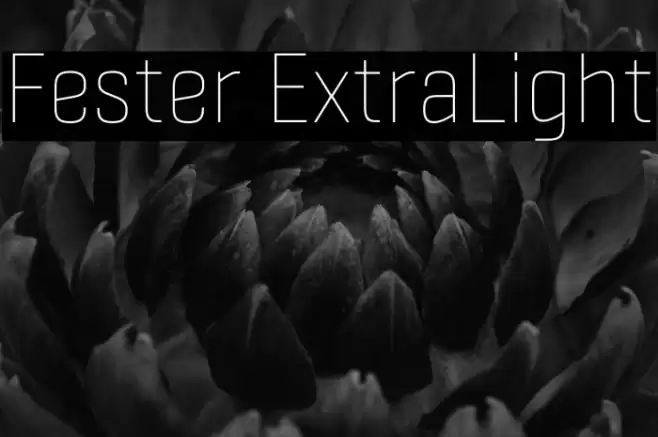 Fester ExtraLight Fonte examples