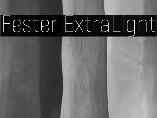 Fester ExtraLight Fonte examples
