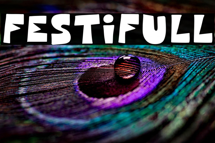 Festifull Example 1