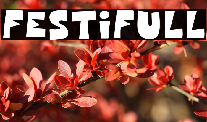 Festifull Example 3