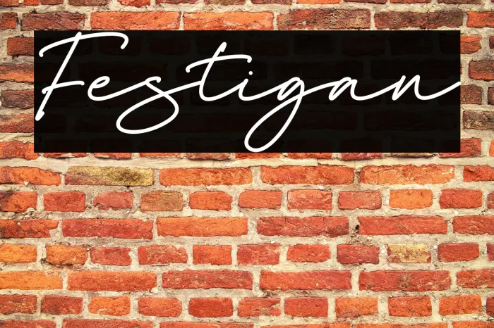 Festigan Example 1