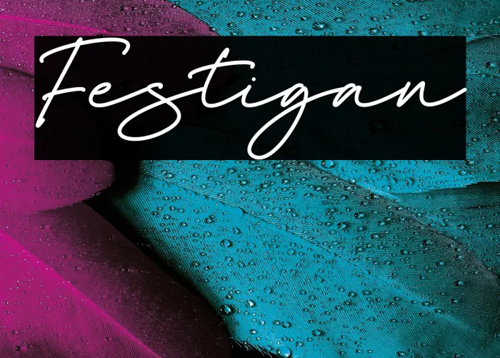 Festigan Example 3