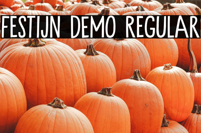 Festijn DEMO Regular Example 2