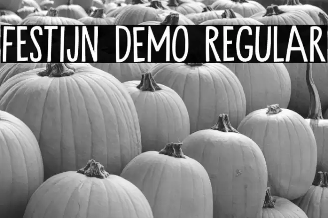 Festijn DEMO Regular Font examples