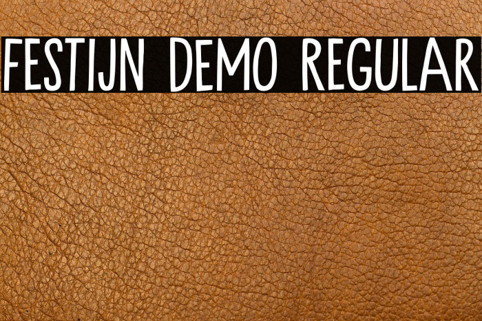Festijn DEMO Regular Example 3