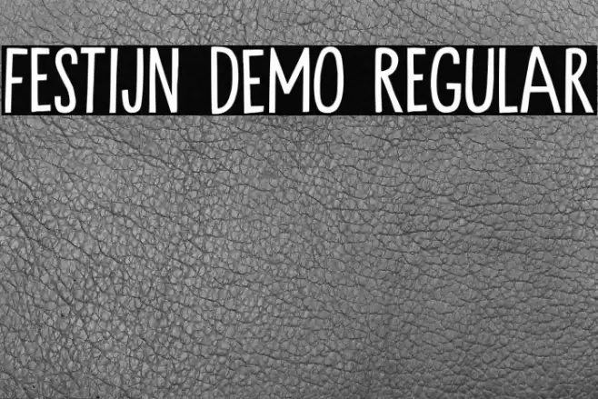 Festijn DEMO Regular Font examples