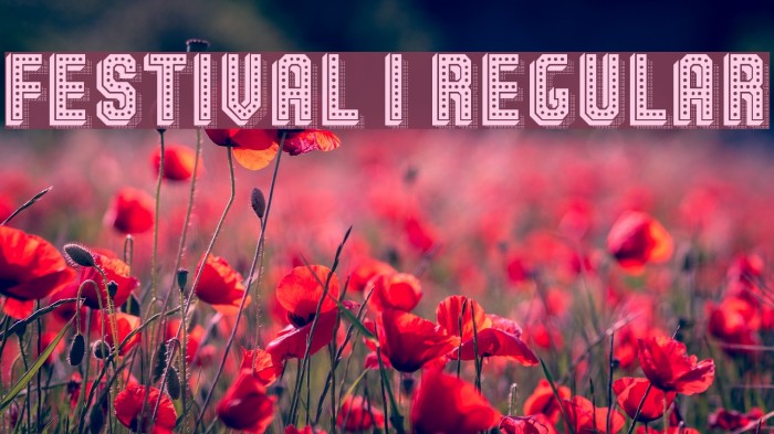 Festival 1 Regular Schriftart examples