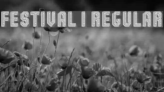 Festival 1 Regular Font examples