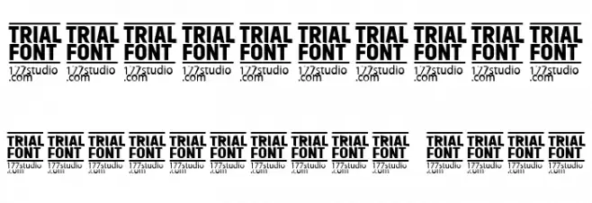Festival Balaton Demo Regular Font OTHER CHARS