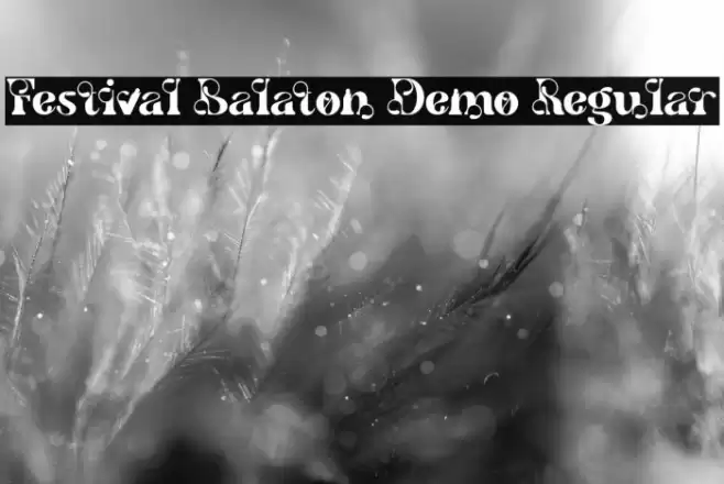 Festival Balaton Demo Regular Font examples