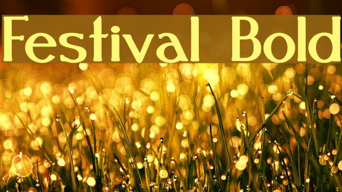 Festival Bold Font examples