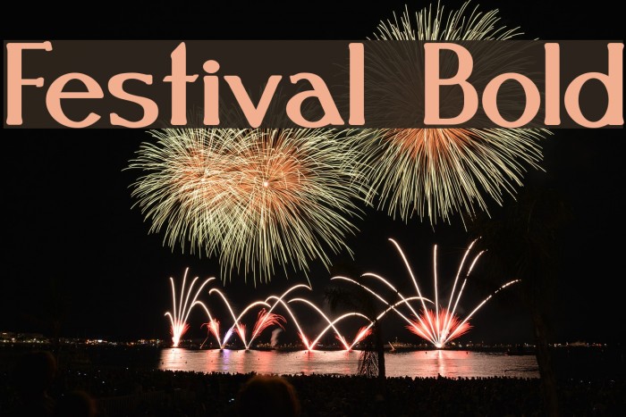 Festival Bold Font examples