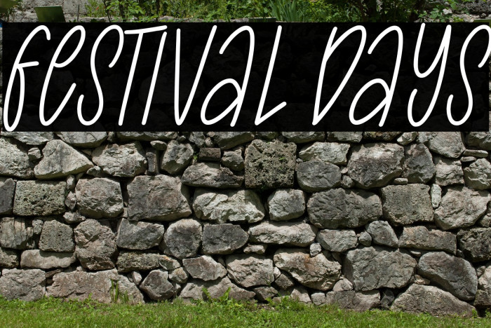 Festival Days Example 2