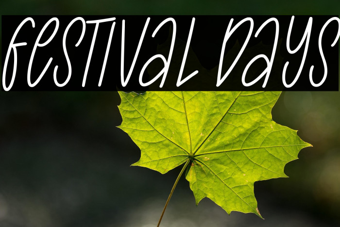 Festival Days Example 3