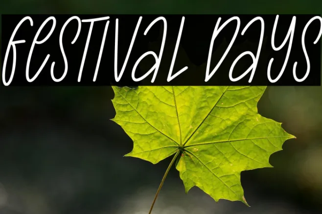 Festival Days Example 3