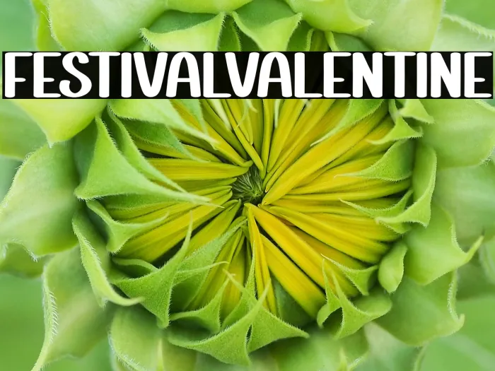Festival Valentine Example 3