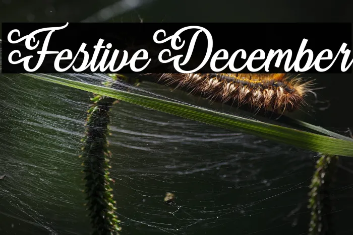 Festive December Example 3