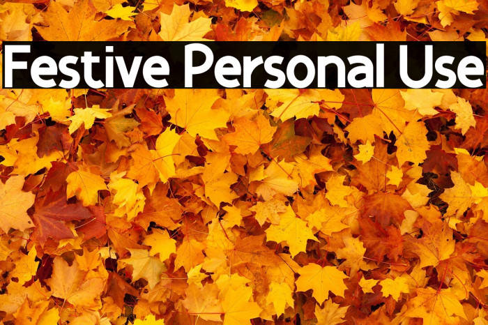 Festive Personal Use Example 2