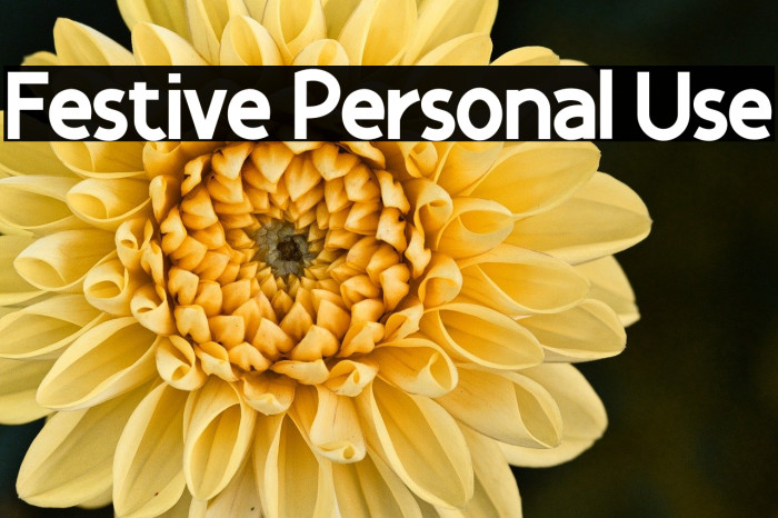 Festive Personal Use Example 3